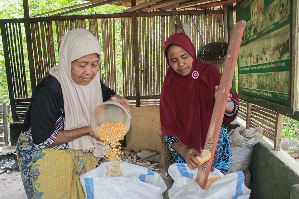 Strategi Desa Mandiri Pangan yang Inklusif dan Berkelanjutan untuk Ketahanan Pangan Lombok Timur